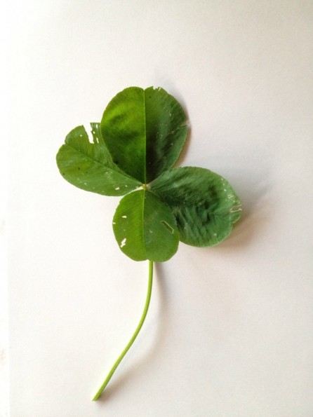 I'm not a superstitious fellow but I... I'm not a superstitious fellow but I...